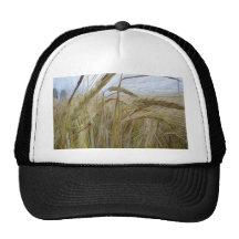 Plant Rye Seed Trucker Hat