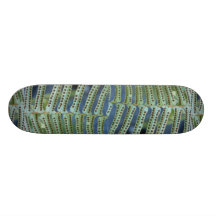 Plant Sori Custom Skate Board