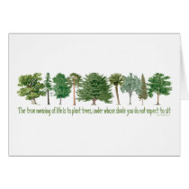 Plant Trees