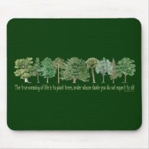 Plant Trees