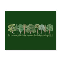Plant Trees