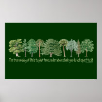 Plant Trees