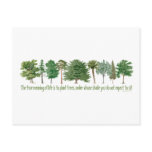 Plant Trees - Tree Lover, Hugger Post Card
