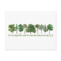 Plant Trees - Tree Lover, Hugger