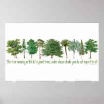 Plant Trees - Tree Lover, Hugger
