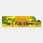 Plant Wildflowers! car bumper stickers Poppies