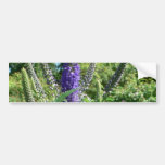 Plant With Purple Flowers Bumper Sticker