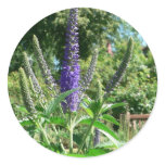 Plant With Purple Flowers Sticker