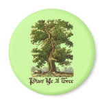 Plant Ye A Tree Green Slogan Magnet