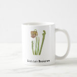 Plante carnivore - promo de drummondii de Sarracen Tasse