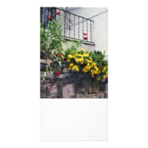 Planter With Yellow Flowering Cactus Photo Cards