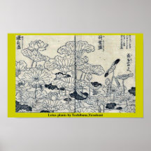 Plantes de Lotus par Tachibana, Yasukuni Posters