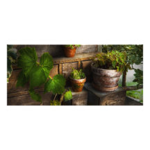 Plants - A summers soak Rack Card Template