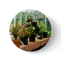 Plants in Greenhouse Pinback Buttons