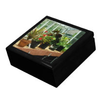 Plants in Greenhouse Gift Box