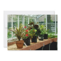 Plants in Greenhouse Personalized Invitation
