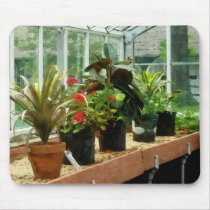 Plants in Greenhouse Mousepad
