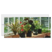 Plants in Greenhouse Custom Rack Card