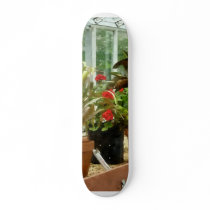 Plants in Greenhouse Skate Board