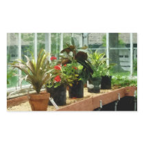Plants in Greenhouse Rectangular Stickers