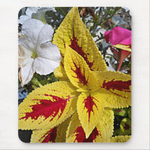 Plants MP Mouse Pad
