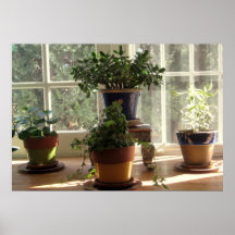 Plants Posters