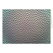 Plastic Bubbles Texture Greeting Card