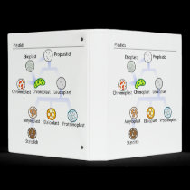 Plastids Binder binders