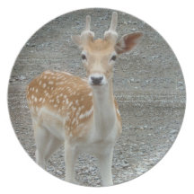 Plat de cerfs communs de bébé assiettes pour soirée