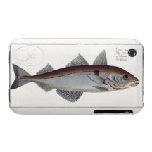 Plat LXII d'aiglefins (Gadus Aeglefinus) de 'Ichth Coques iPhone 3 Case-Mate
