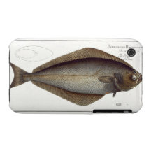 Plat XLVII franc de flétan (Hippoglossus de Pleuro Coque Case-Mate iPhone 3