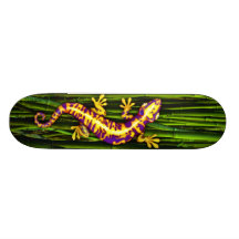 Plate-forme de Gecko Skateboard
