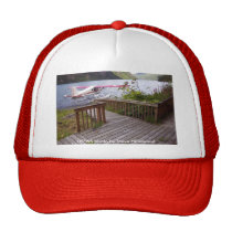 Plate-forme et Floatplane de chapeau/de cabine de  chapeaux