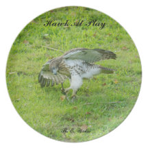 Plate/ Hawk at play.