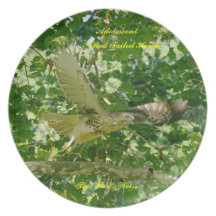 Plate/ Hawk launching for flight/ R. E. Weiss