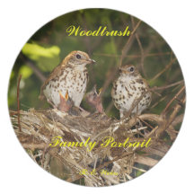 Plate/ Woodtrush family portrait/ R. E. Weiss