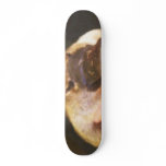 platyhands skateboard