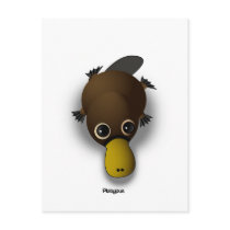 platypus postcards