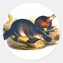 Platypus Sticker