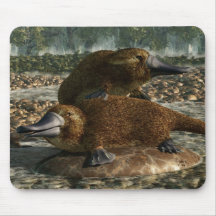 Platypuses Mousepads