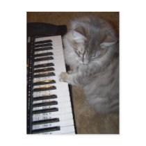 Play that music Raisin Postcard