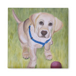 Play With Me. Yellow Labrador Retriever Magnent Refrigerator Magnets