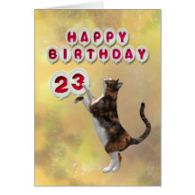 Playful cat and 23rd Happy Birthday balloons Greeting Cards