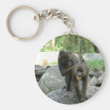 Playful, cute, smart and friendly baboons key chains