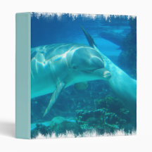 Playful Dolphins Binder