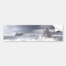 Playful dolphins bumper stickers