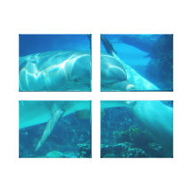 Playful Dolphins Canvas Print