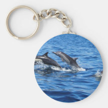 Playful Dolphins Key Chain
