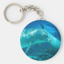 Playful Dolphins Keychain