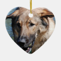 Playful German Shepherd  Ornament